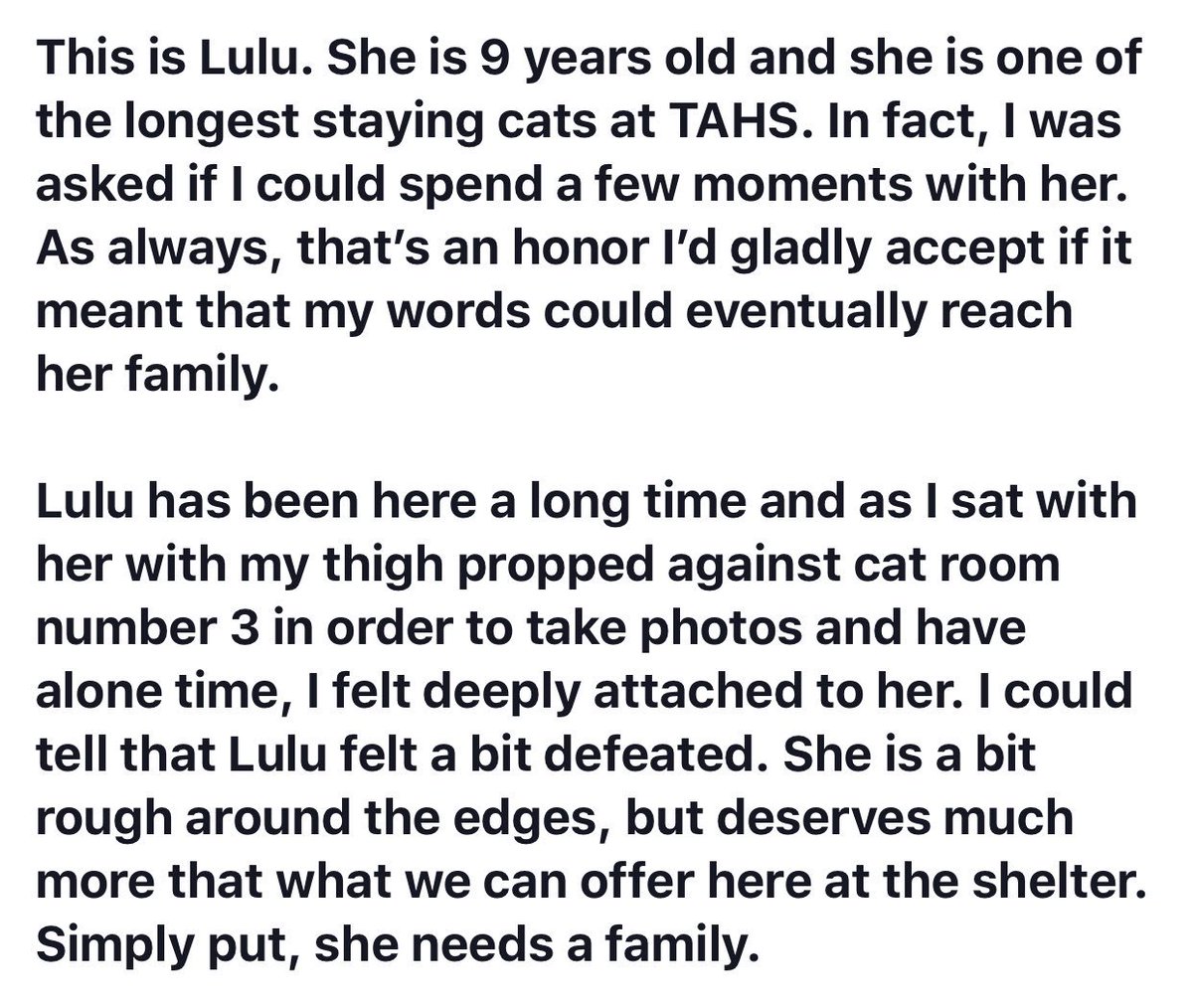 ToledoHumaneSociety tweet media