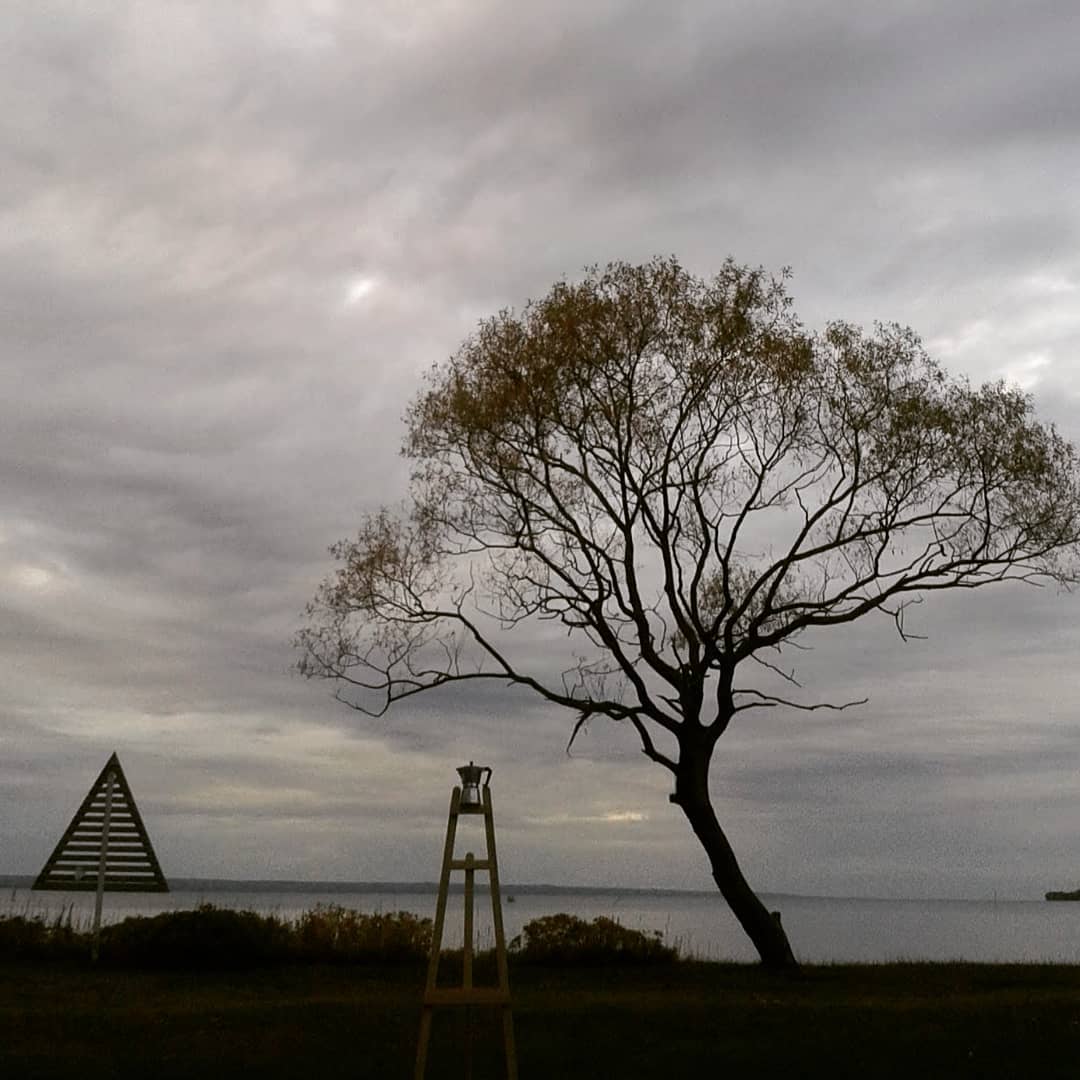 1WindowGallery's tweet photo. 🌳~ #igFilterStudy #Ludwig #Moka ~ 🔟 Dec 2018 
#1WindowGallery @instagram &amp; #Mellyrn @ellohype 
https://t.co/cxajRiSNsv 

📷 https://t.co/sxF1XBcdj7      
#LetsGuide #Jönköping #Huskvarna #Småland #Götaland #Sweden  #1Tree #TreeArt #PhotoArt #Tree https://t.co/2nTJRy6U97