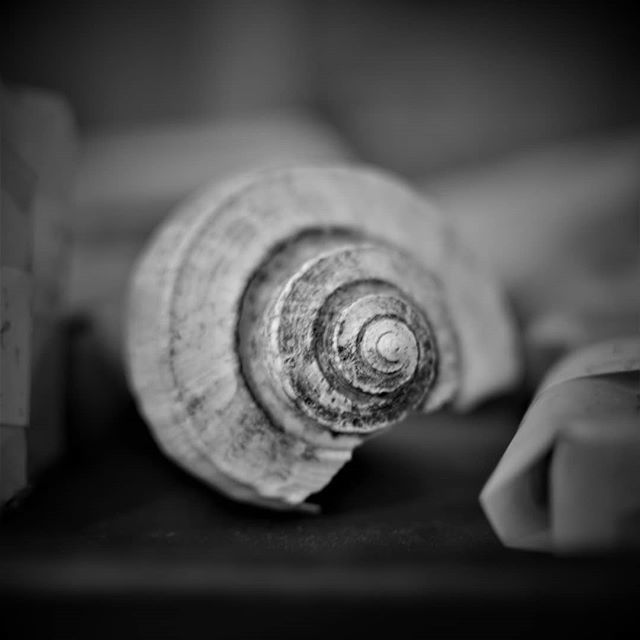 Caracol.

#photography #bw #blackandwhite #bwphotography #streetphotography #streetphoto_bw #streetphotographers ift.tt/2zOWl0G