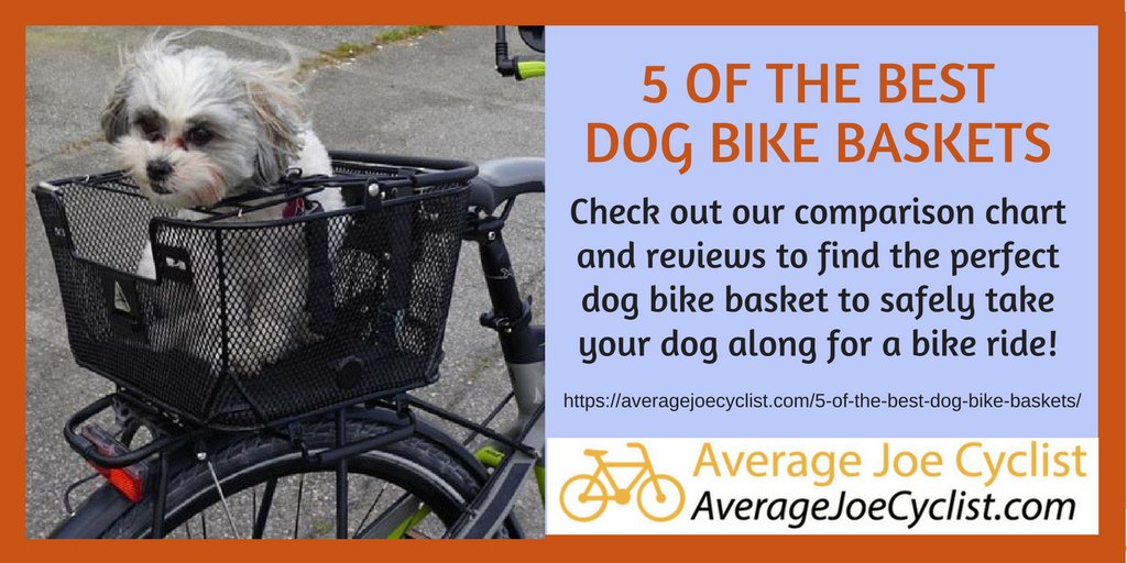 how to take dog on bike ride