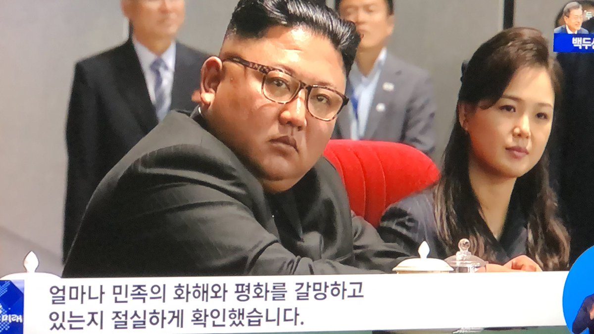 김정은 살해 목적 참수부대 예산을 30배 증액한 문재인 정부. 그런데 김정은 위원장 향해 서울 답방 요청 통사정. 이런 상황에서 어찌 오겠냐?