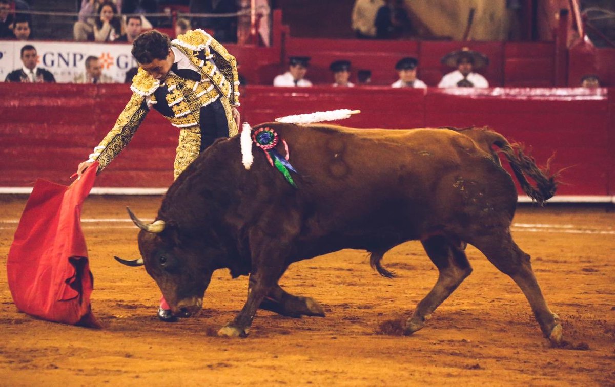 Momentos del matador Juan Pablo Sánchez  con el toro “Sentimiento” de Santa Barbara , segundo de su lote.

#dondenacenlasemociones
#LaMexico