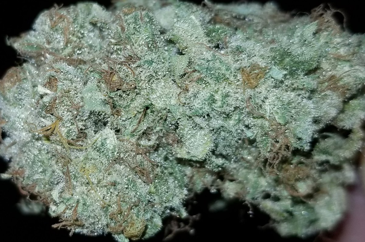happypotfarmer's tweet photo. @MichaelRapaport Favorite line from Scarface:
"I'm gonna get you high today. Cuz its Friday, you ain't got no job, and you ain't got shit to do!"
#ScarFace35 https://t.co/bHZhyoEbBe