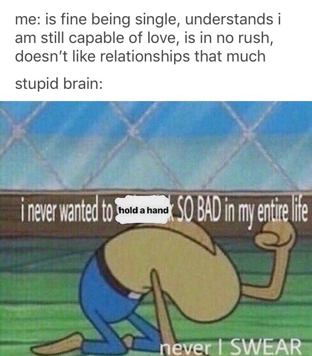 Queen Kacina You Ever See A Meme And Just Damn Queen Kacina You Ever See A Meme And Just Damn