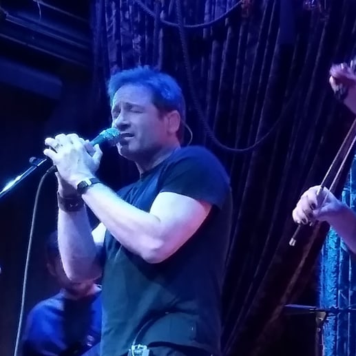 2018/12/09 - One Night with Davd Duchovny in Nashville - Page 2 DuBMN0DU8AAgYLt