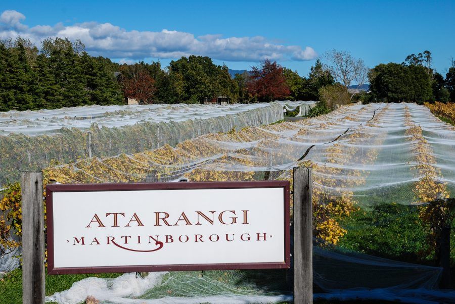 #WinerySpotlight <a href="/Ata_Rangi/">Ata Rangi</a> is a small, family-owned Martinborough winery with a big reputation, particularly for pinot noir. <a href="/TheRealRvw/">The Real Review</a> buff.ly/2Uwxw2y
