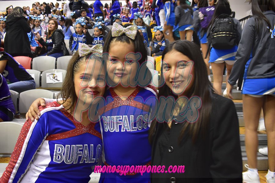 monosypompones's tweet photo. Premios #monosypompones 2018
Categoría: Porrista REVELACIÓN del año
Ganadora: Yareli Abigail Flores Balderas
Club: Club Búfalos
#solomyp #cheerleadering https://t.co/9HdWxwphyM