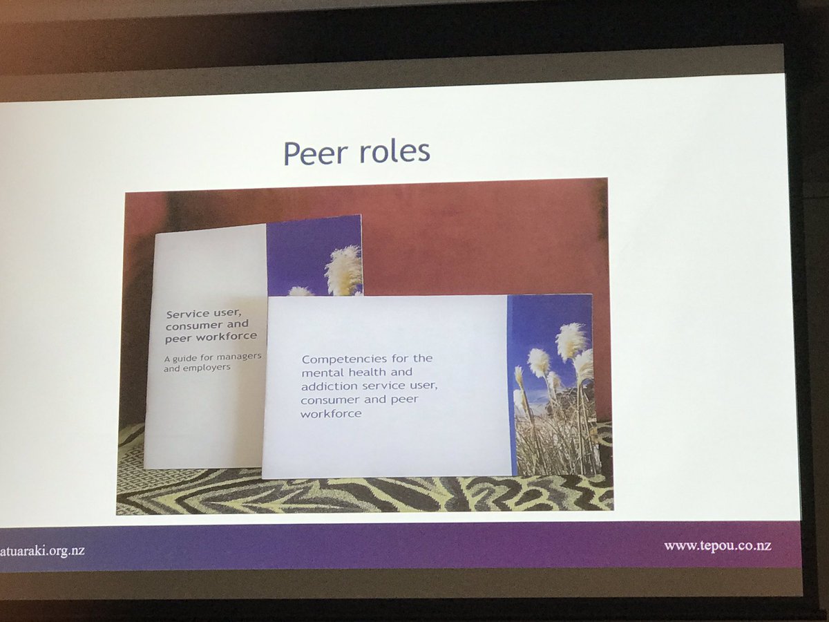 shearer_robyn's tweet photo. #supportworkMHA Caro Swanson mental health Principal Advisor @TePouNZ describes the peer workforce @PlatformTrust @MatuaRaki @wilderbeast98 @AshKoning @PakilauAotearoa @suzettavon https://t.co/igAxndeLO2