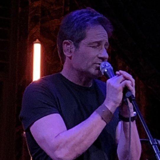 2018/12/09 - One Night with Davd Duchovny in Nashville - Page 2 DuBZYW8U8AAzkeu
