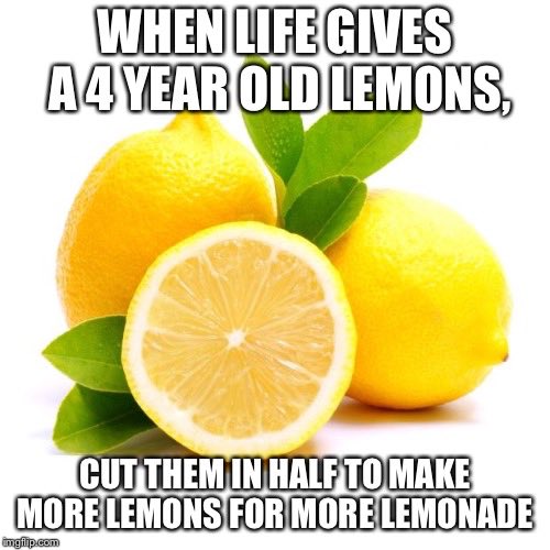 MercedeNicki's tweet photo. #CofCDevSci #extracreditmeme #cnservationerrors https://t.co/vwQmoXrY7k