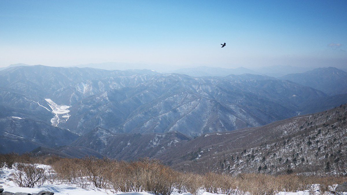 Kraveler's tweet photo. Taebaeksan (1567 meters high)
Being one of the 7 most beautiful mountains in Korea, Taebaeksan is an attractive spot for tourist because of its amazing snowy scene in the winter and its famous annual festival.
#Korea #Travel #Taebaeksan #KoreaTravel #TaebaeksanSnowFestival https://t.co/ORSaguT1n1