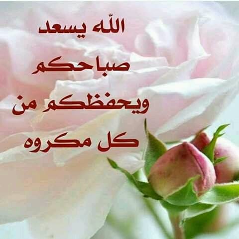 #اين_تسكن_السعاده
 اللهمَّ إنا نسألك صباحاً يملأ الأجساد عافية، والروح فرحاً، اللهمَّ أرحنا من هموم الدنيا، وأرزقنا التوفيق في جميع أمورنا.