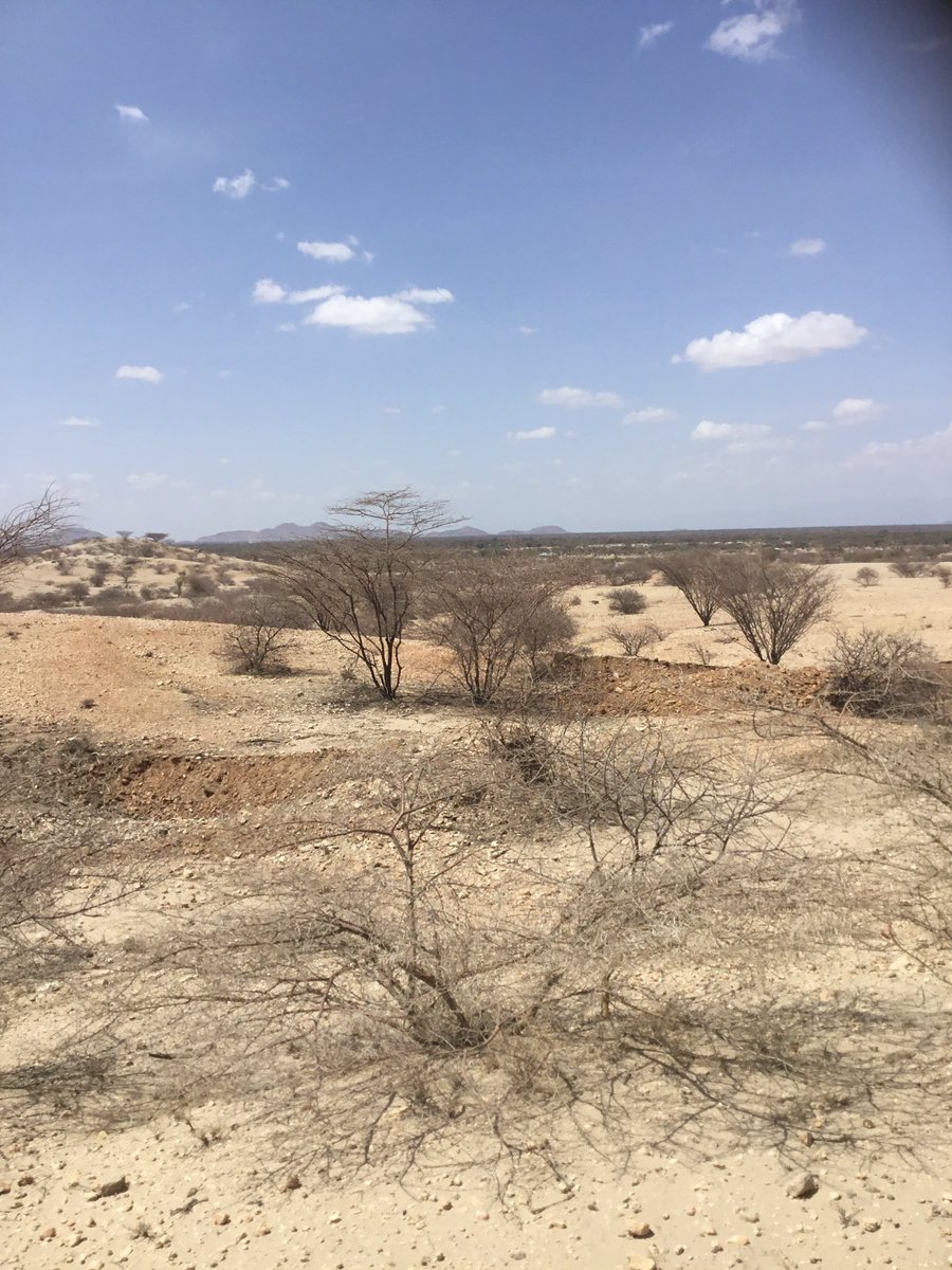 Donald B Kipkorir tweet media