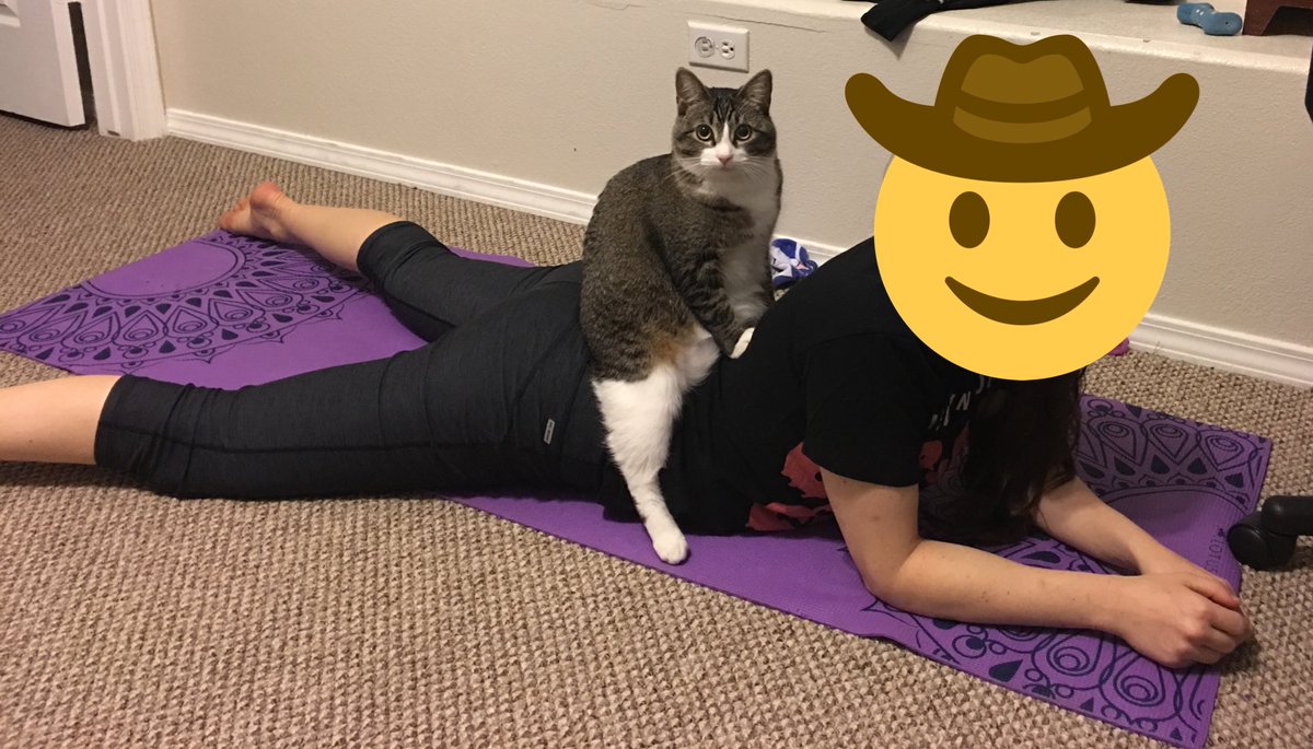 CokeZeroCat's tweet photo. teach’ing Mome to do Yogah bettre https://t.co/j6o1DDuapZ