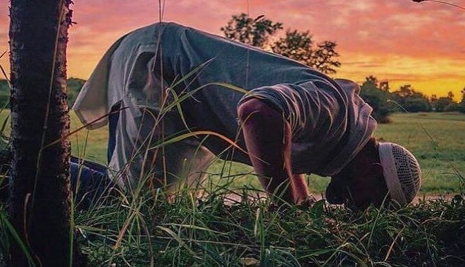 " حين قال فرعون : " أنا ربكم الأعلى" رد الله سبحانه بقوله لموسى وهارون : " اذهبا إلى فرعون إنه طغى، فقولا له قولاً ليناً لعله يتذكر أو يخشى" ..
سبحانك يا رب .. إذا كان هذا هو عطفك بفرعون الذي قال : " أنا ربكم الأعلى" فكيف بعطفك بعبد قال : " سبحانك ربي الأعلى" !" (م) ..

#جماليات