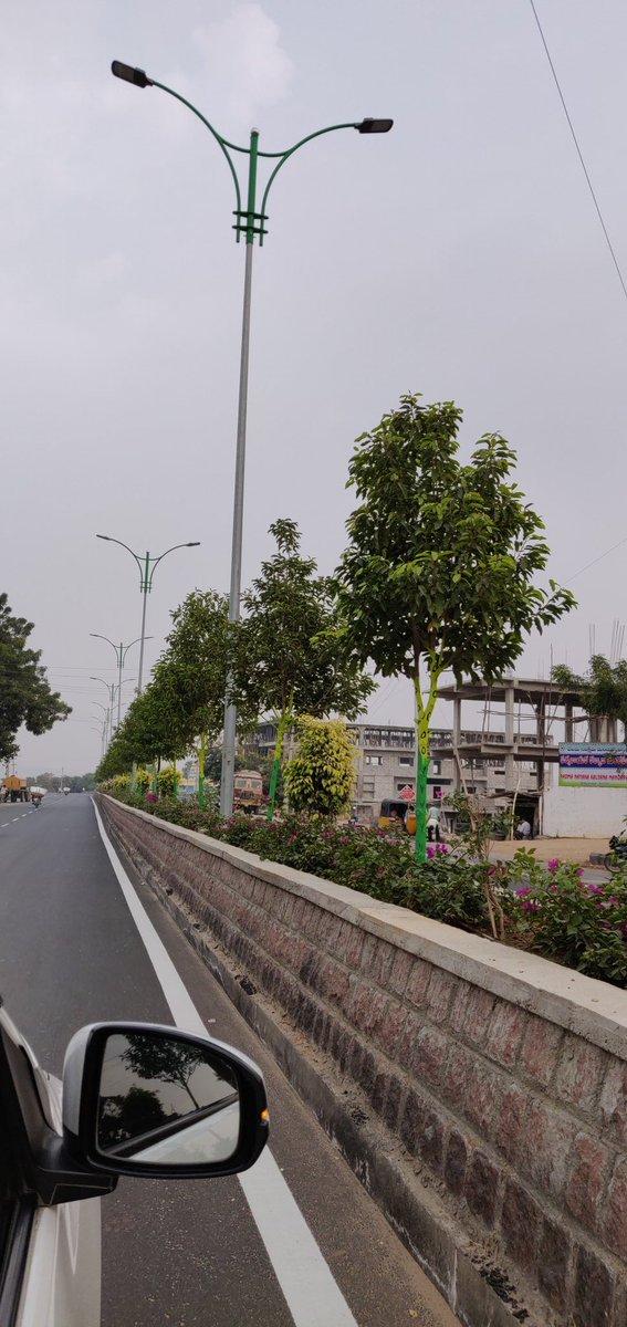 pargaien's tweet photo. Road medians in Sircilla dotted with Conocarpus. New urban greens.#urbangreen @Collector_RSL @arvindkumar_ias @KTRTRS https://t.co/5rtnHkSOrr