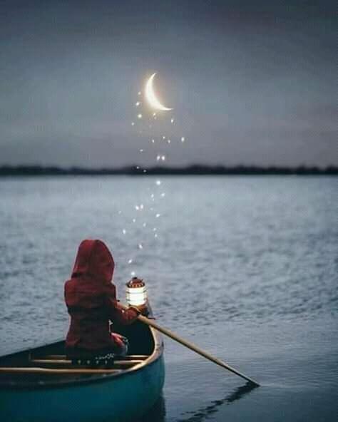 moonlight4444's tweet photo. https://t.co/1RqBIEnuLt