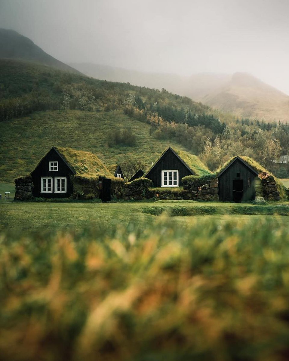 Yeşil çatılı bir eviniz olsun ister miydiniz?