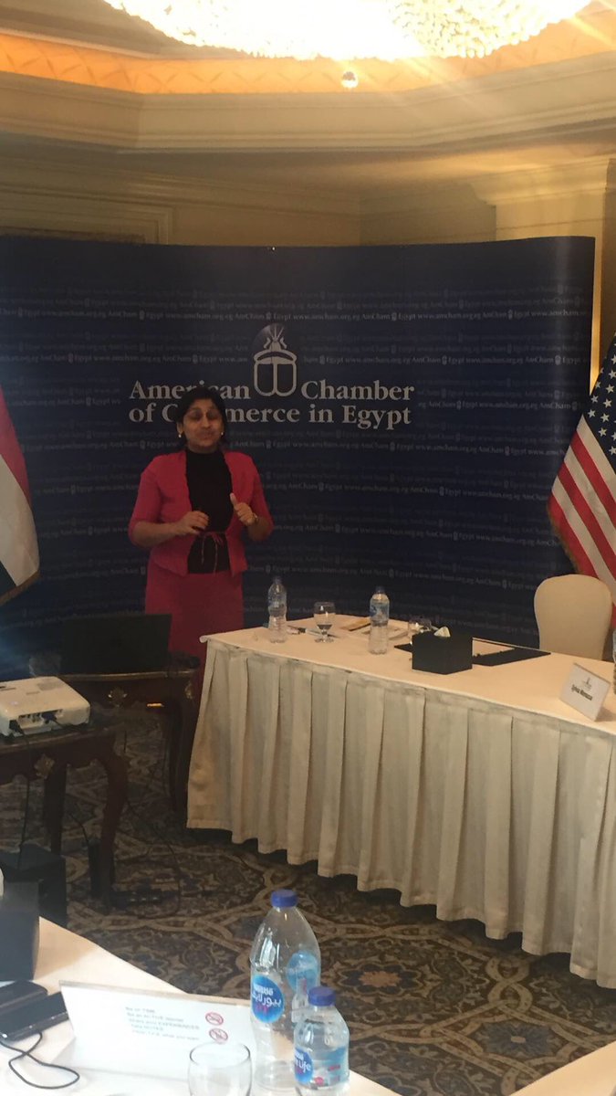 Today #AmCham CDC &amp; the Institute of Directors - UK, launch the second run of the Role of the #Directors and the #Board in Cairo.