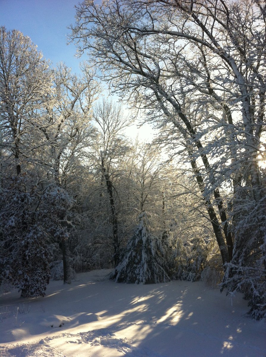 ph0t0s's tweet photo. Winter Wonderland ❄️
#NewEngland #WinterWonderland #snowday #snowstorm https://t.co/IVS3X9rux1
