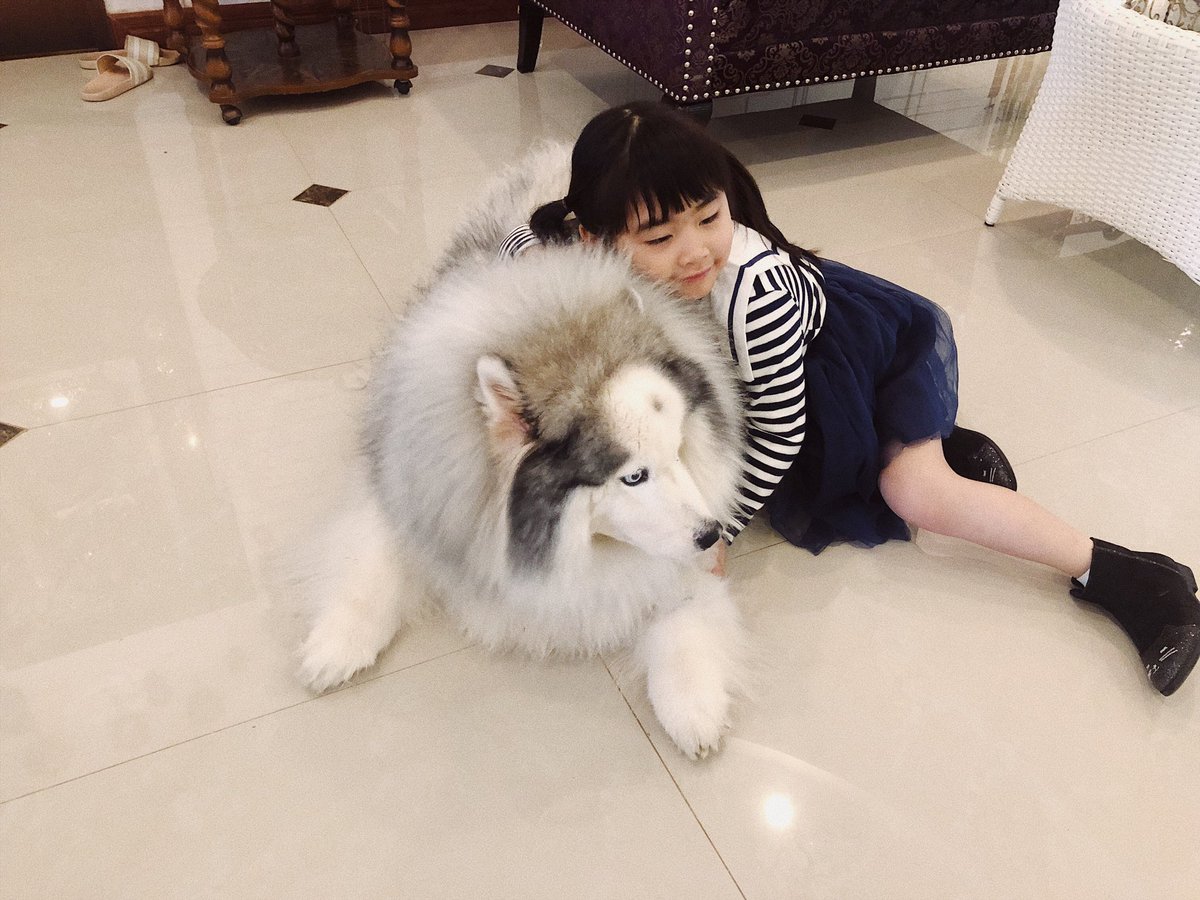 คุณแบร์ของชูแจ tweet media