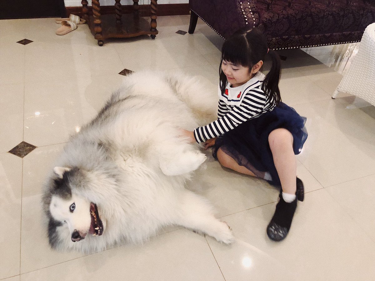 คุณแบร์ของชูแจ tweet media