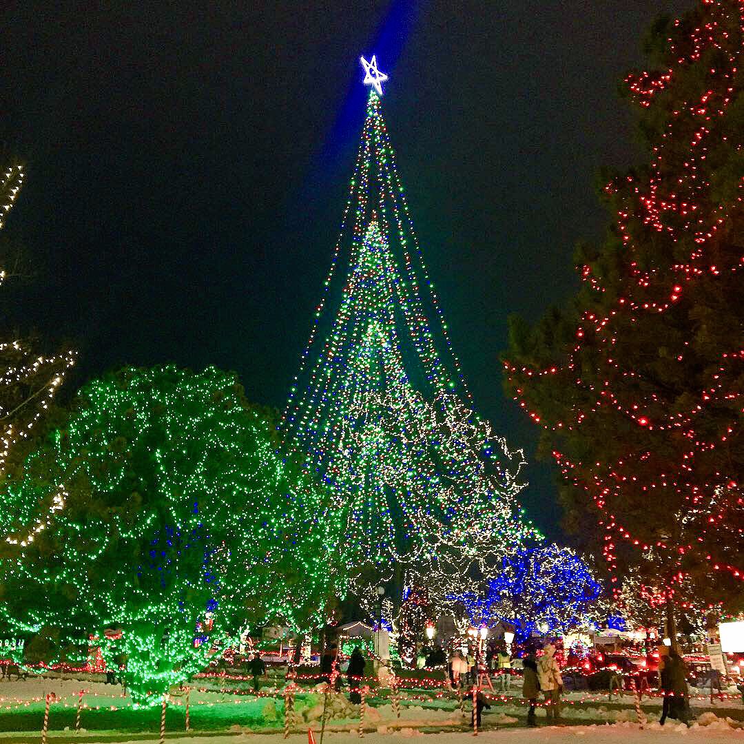 Gorgeousness at <a href="/explorelacrosse/">Explore La Crosse</a>’s <a href="/rotarylights/">Rotary Lights</a> display—over 3M lights to enjoy! 🎄🤶🏻🎅🏻 <a href="/ExperienceWIMag/">ExperienceWisconsin</a>