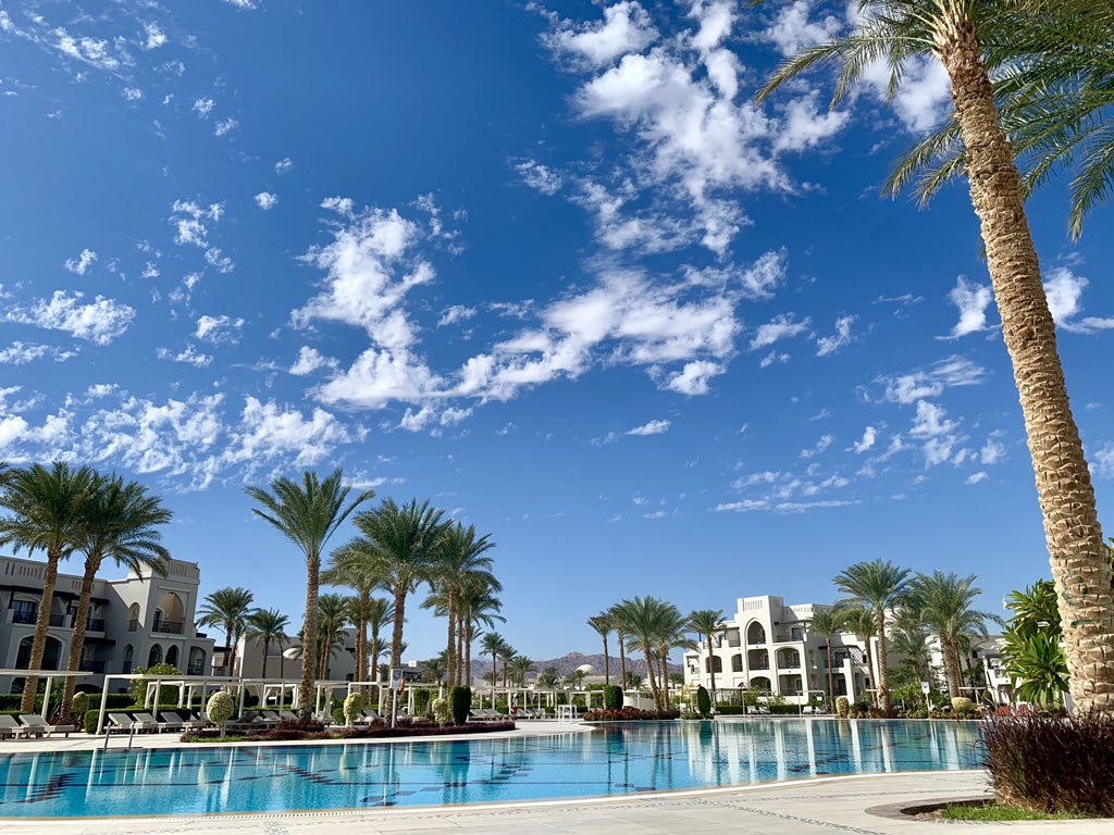 Tricia Martinez tweet media