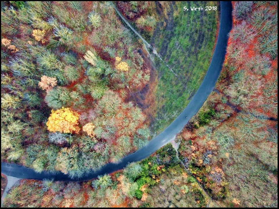 wirthstef's tweet photo. #forest #Grunewald with #pathway and #meadow in #intense #winter #colors seen #nearby mount #Teufelsberg in #December #2018 Copyrights #Stefan #F. #Wirth
#landscape #trees #drone #quadcopter #bushes #airperspective #birdperspective #dji #mavicpro #photography #photographylovers https://t.co/llaQ8AfWSH