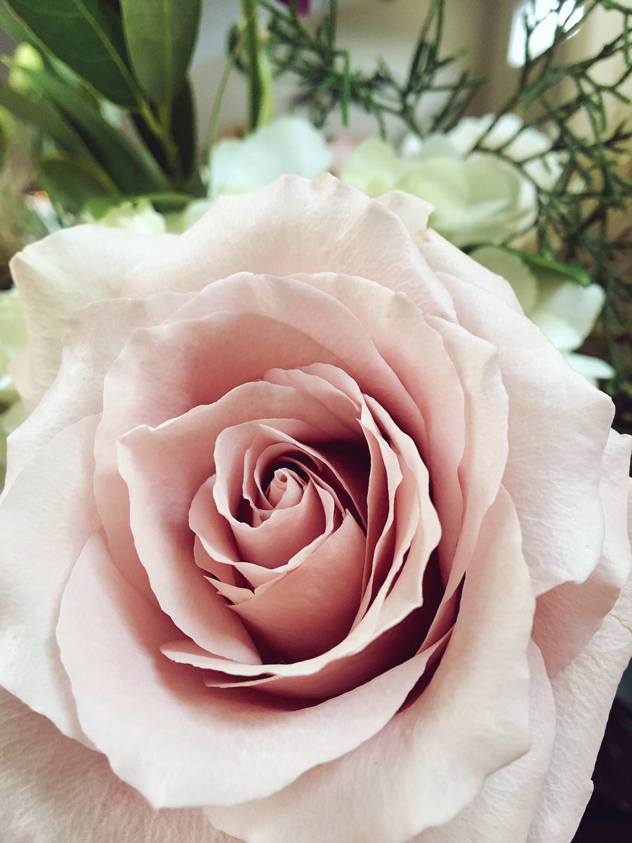 MisisHippi's tweet photo. If a rose made out of petals and leaves is beautiful - then how much more beautiful are you? There is no comparison. 
You are intricately designed by God and nothing is more precious in His sight. Don’t ever doubt your value in God. 
#CLCitsalifestyle https://t.co/tJk3GkNvwo