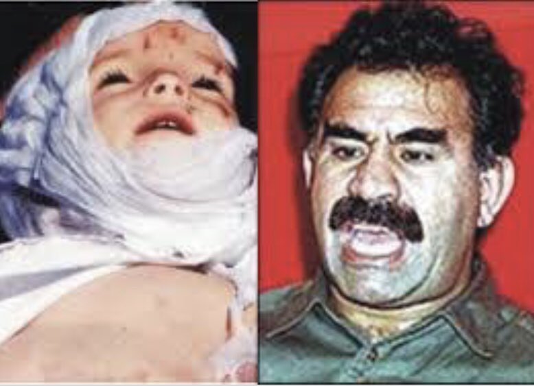 yozdemir060's tweet image. #KuduzKöpekler #10AralıkDünyaİnsanHaklarıGünü