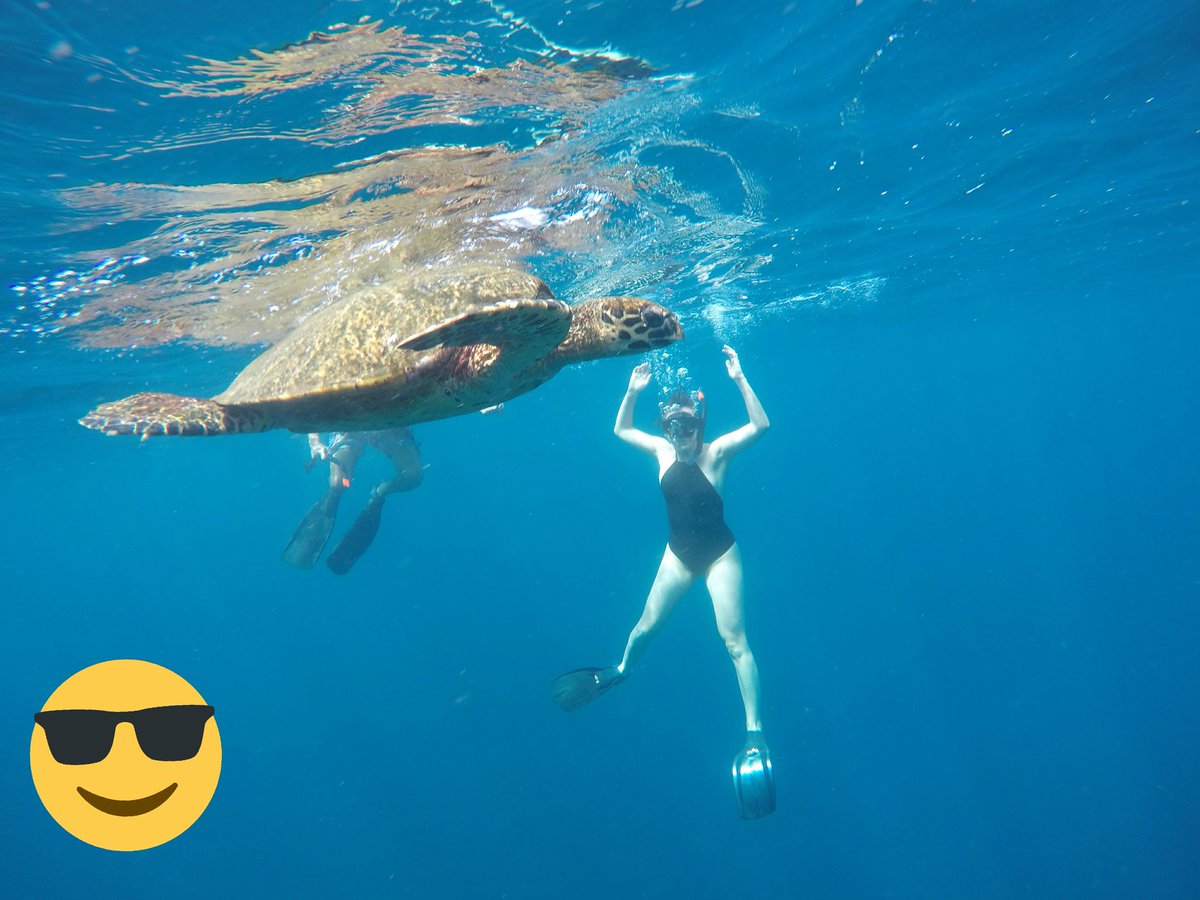 UniMoony's tweet photo. snorkling trip https://t.co/Etavu0TWg6