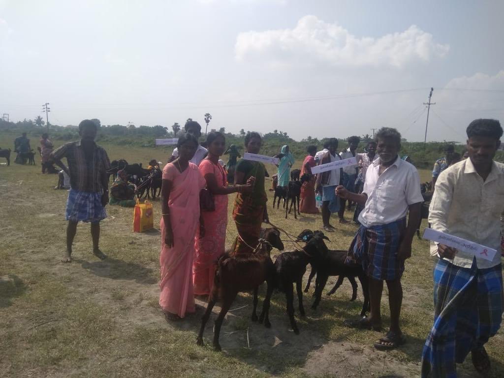 tansacs's tweet photo. #KnowYourStatus #WorldAIDSDay #worldaidsday2018 #communitybasedscreening 
Kandachipuram sheep market / Goat shandy, @Villupuram District , kudos to team Villupuram on screening the community on field, with minimal facilities , in a market place convincing the general public https://t.co/JNoJIPeEmI