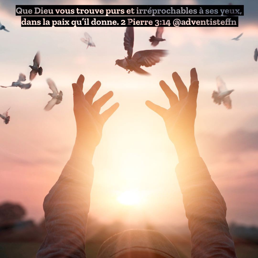 AdventisteFFN's tweet photo. La méditation d’aujourd’hui: «JOUR 31 – LA PUISSANCE DU TÉMOIGNAGE» https://t.co/RjFqMXKqq5 Inscris-toi sur https://t.co/YR9F9HW14N #implicationtotale #esperance2019 #40joursdepriere #adventisteffn #40daysofprayer https://t.co/ibPSSWJ4dS