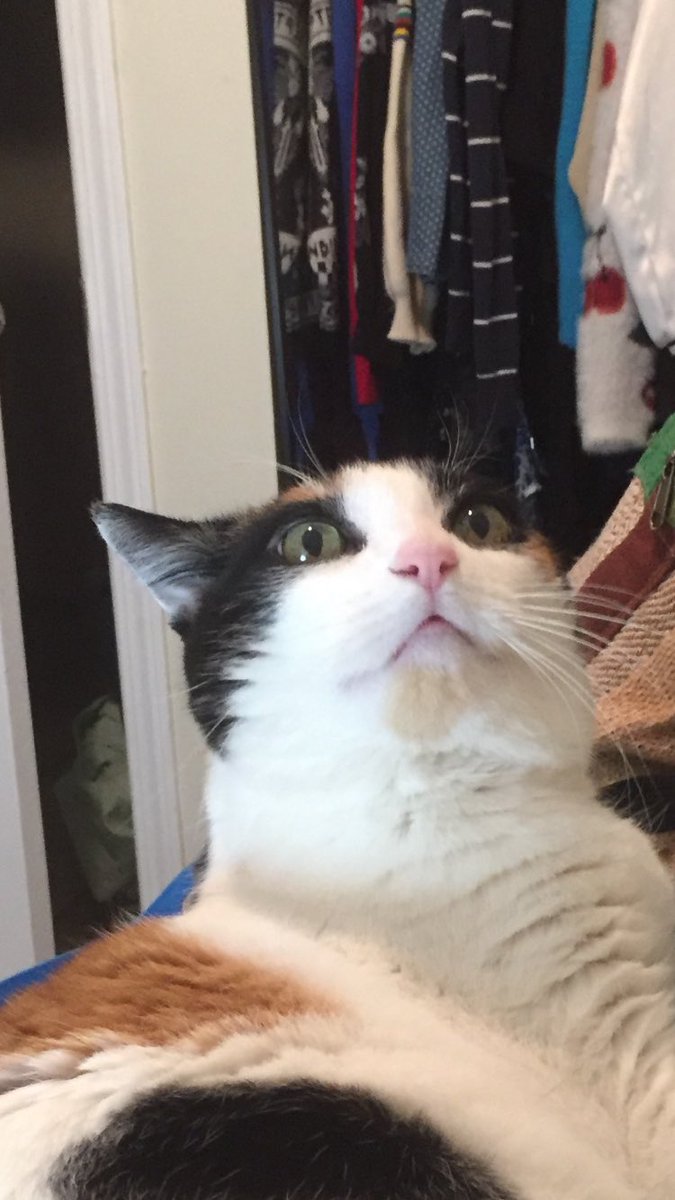 ghostxmint tweet picture