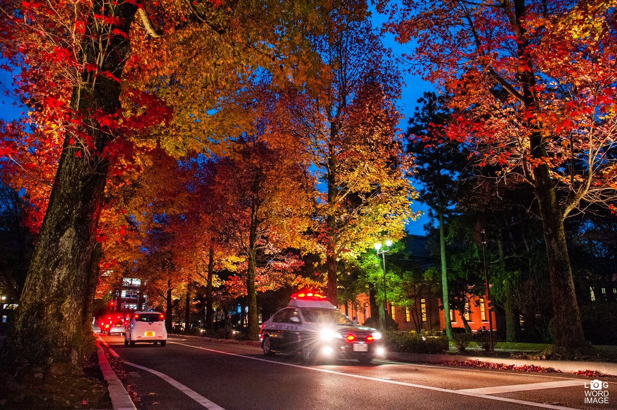 logword's tweet photo. 紅夜.

#nikon #NikonHongKong   #light_nikon 
#japan #instagramjapan #japan_night_view  #japan_insta #traveljapan #photo_jpn #explorejpn #visitjpn #ishikawa
#kanazawa  #redleave… https://t.co/GuPcGg9ieA https://t.co/c0Mkl3PDct