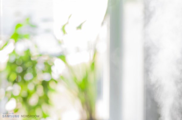 valueofday's tweet image. 안녕하세요 하루산소입니다. 미세먼지의 질이 오히려 겨울철에 더 높아지는걸 알고 계신가요? 자세한 내용은 instagram.com/valueofday/
#하루산소 #하루산소솔직후기  #미세먼지제거 #실내공기정화 #실내환기 #초미세먼지 #미세먼지 #공기정화식물 #집안냄새제거 #집안공기
#겨울철건강관리