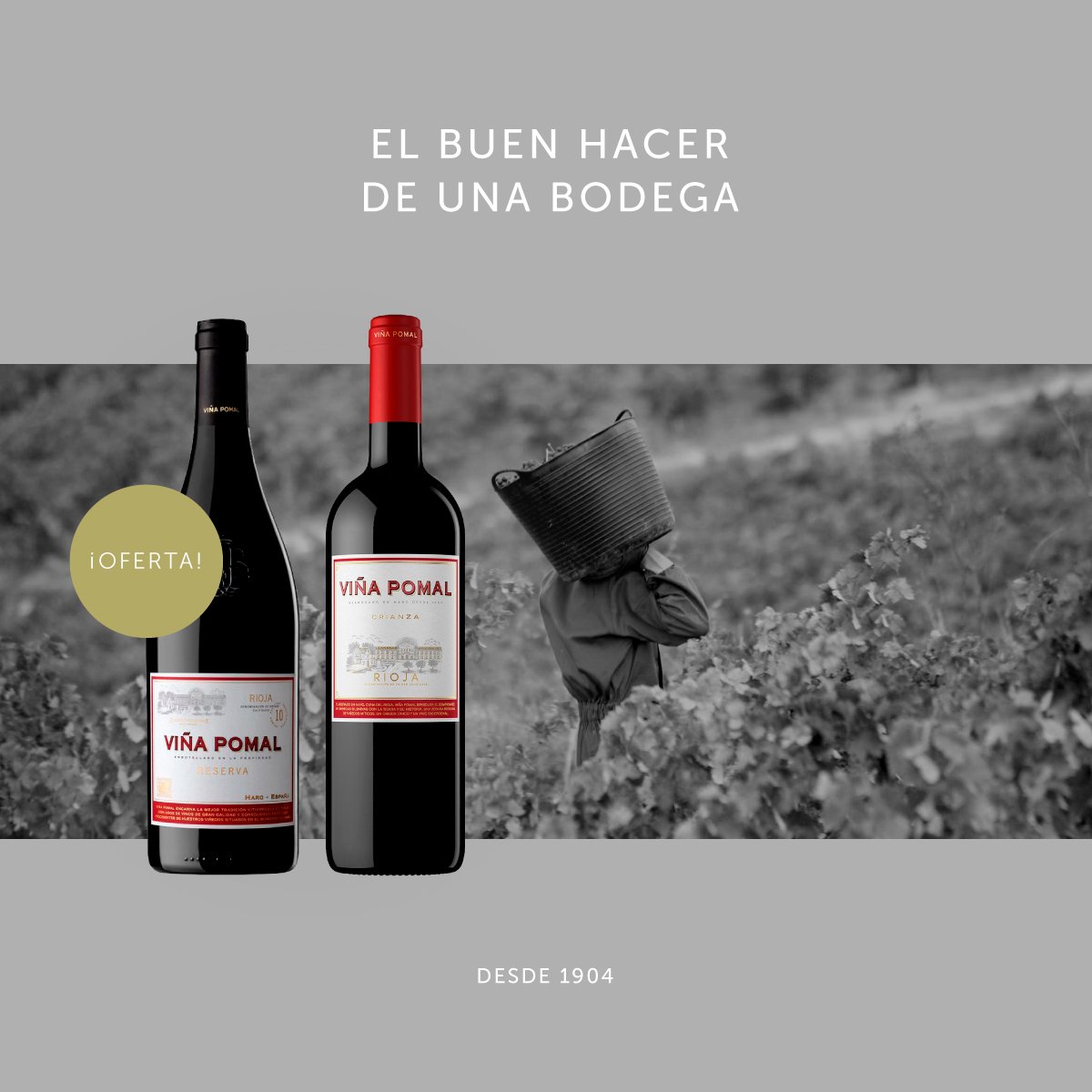 ¡¡Esta semana os presentamos dos de nuestros vinos más especiales!!
Viña Pomal Crianza 2015 y Viña Pomal Reserva D.O. La Rioja, 2013. Ambos de Bodegas #Bilbaínas. ¿Con cuál te quedas? ¿O te quedas con ambos?
En nuestra web puedes seleccionar el tuyo 👇
bit.ly/2AU7o8u