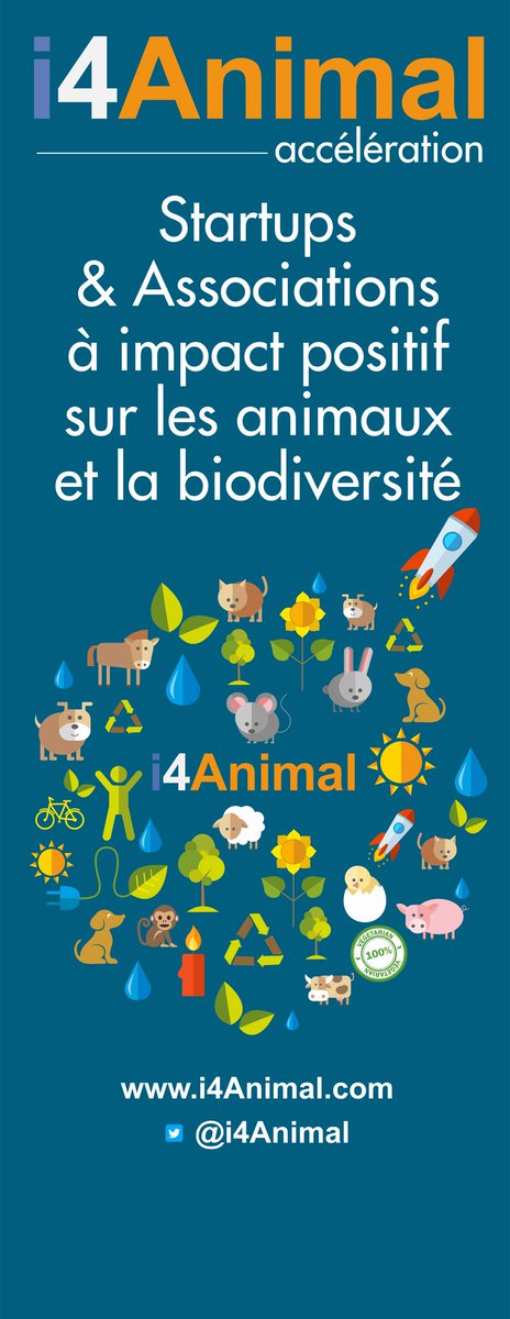 i4animal's tweet photo. Bonne chance aux trois #startups/ Pitch en presentiel ce matin et un grand merci au fonds et membres du jury qui les accueillent : ))
Pitch Entrepreneurs Startups #i4Animal @i4animal #CommentLeverDesFonds https://t.co/yWal1LeZgB