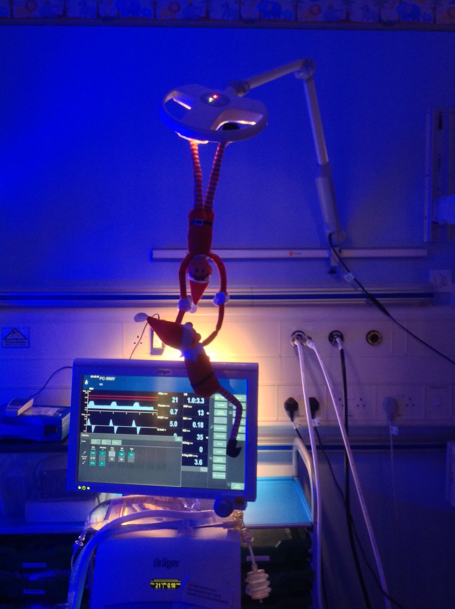 CHFTSCBU's tweet photo. Everyone up it’s Monday and the naughty Neonatal Elves are at it again.  @CHFTNHS https://t.co/0vmhmzumk7