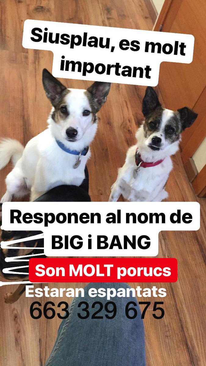 Carles Munné i Pagán (@carlesmunne) on Twitter photo 