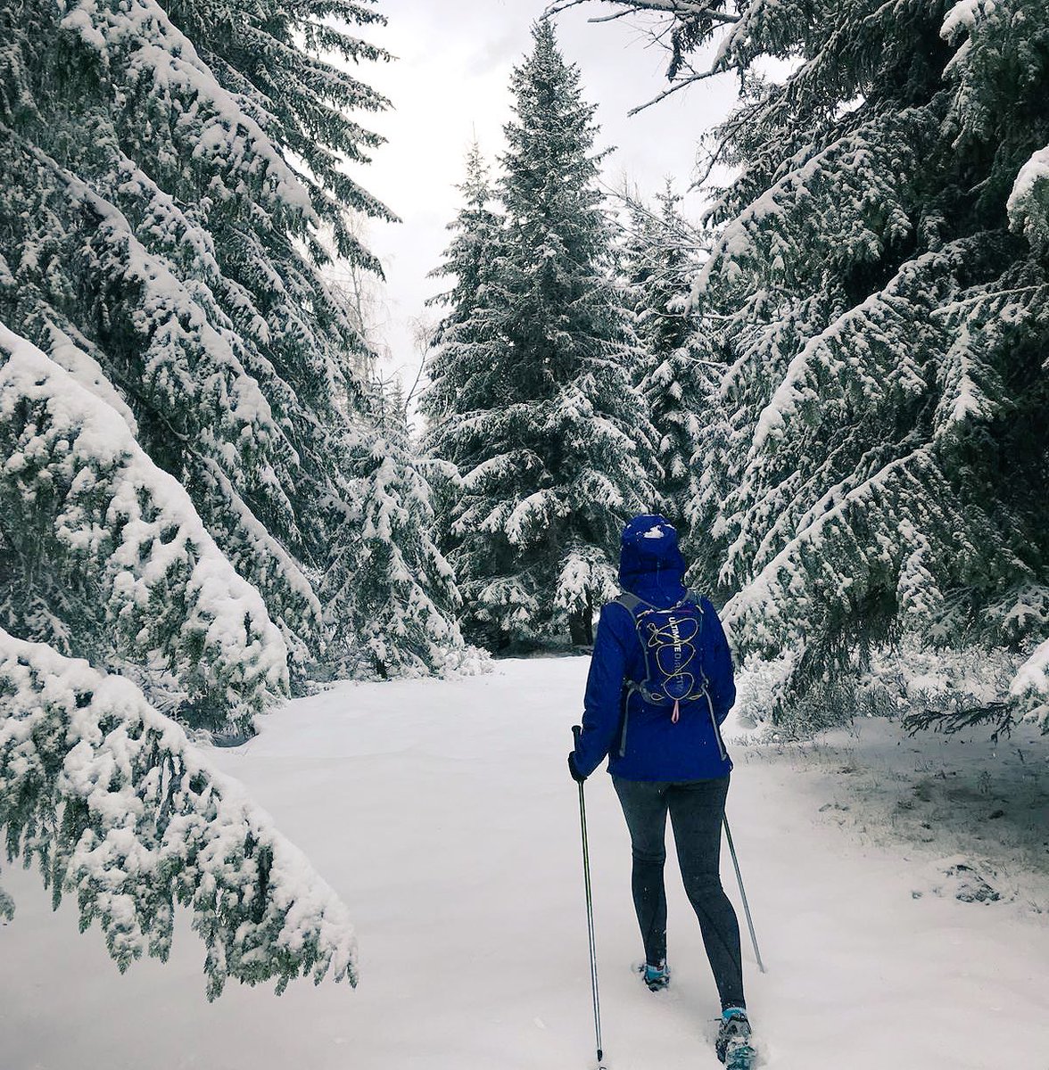 AdventureRunning tweet media