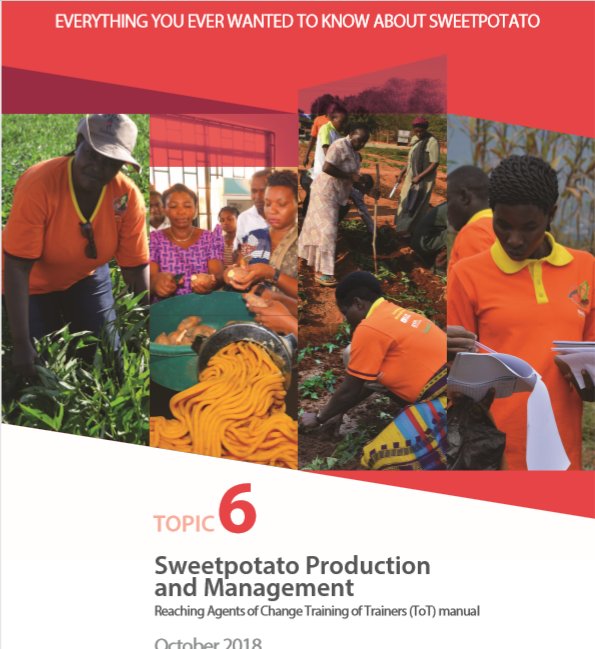 Our newly updated training manuals are chock full of everything you need to empower #Sweetpotato farmers with #SweetpotatoKnowledge bit.ly/2Qh9sBX  <a href="/oursweetpotato/">sweetpotatoknowledge</a> <a href="/Cipotato/">International Potato Center</a> <a href="/FARAinfo/">FARA Africa</a> <a href="/CIAT_/">CIAT</a> <a href="/CIMMYT/">CIMMYT</a> #KnowledgeisPower