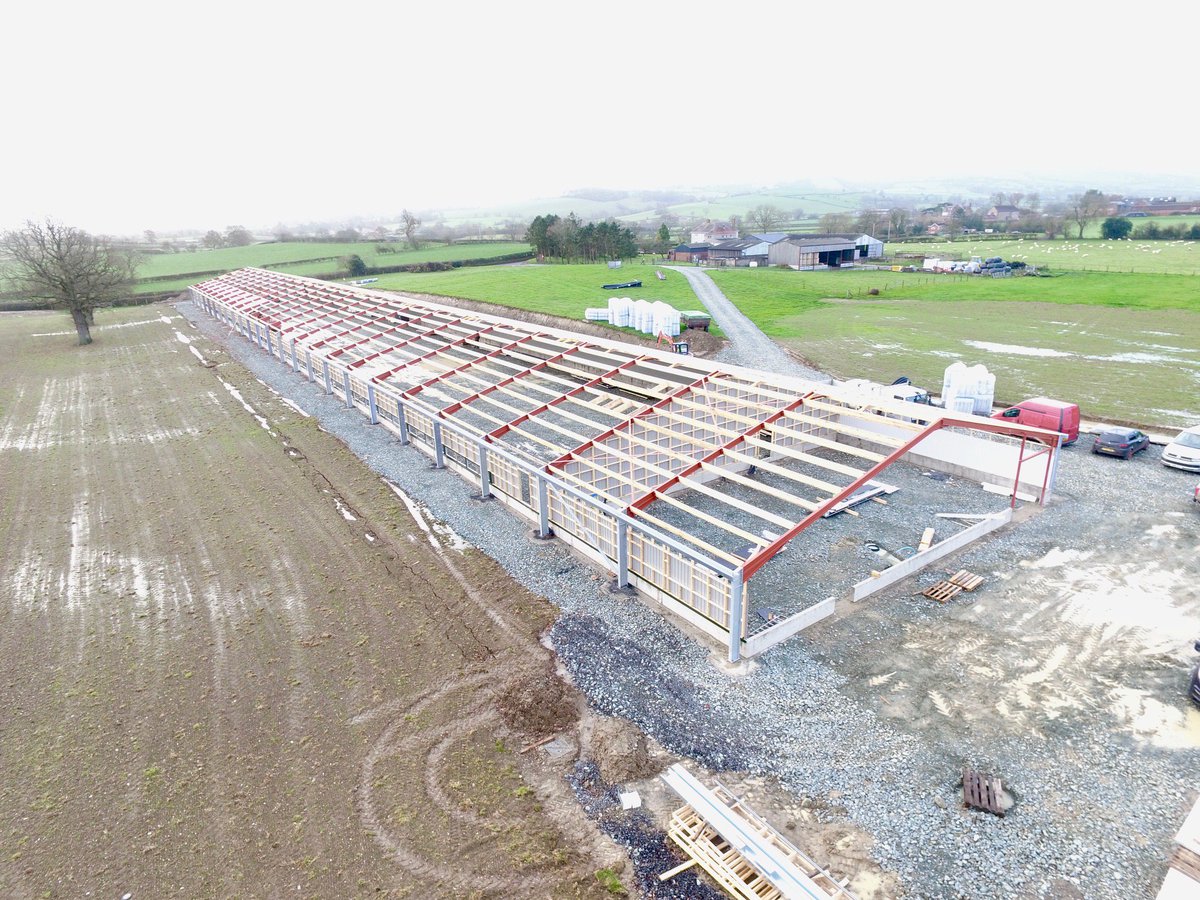 Jack Savage tweet media