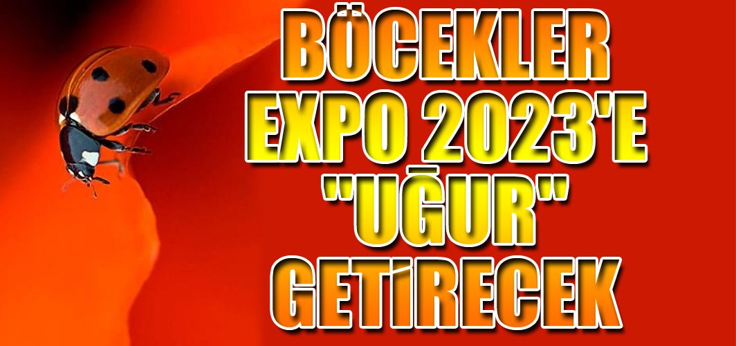 MarasManset's tweet image. marasmanset.com/kultur-sanat/b…
#Kahramanmaraş #Böcekler #Expo2023e #uğur #getirecek #kültür #sanat #ÇimenDağı #UludazTepesi #UğurBöcekleri #UğurBöceğiMüzesi #OnikişubatBelediyesi #HanefiMahçiçek #Pazartesi #10aralıkdünyainsanhaklarıgünü