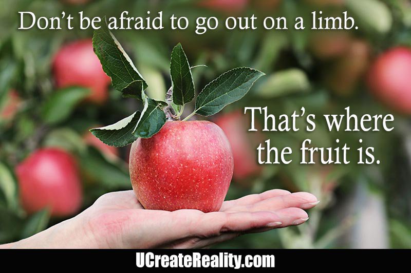 UCreate_Reality's tweet image. Go Out On A Limb ucreatereality.com/out-on-a-limb/