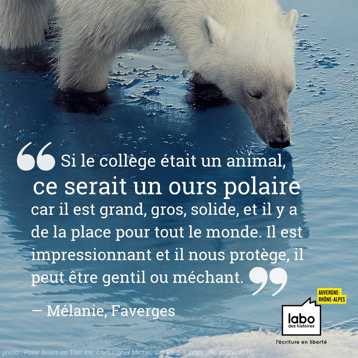 Labo Des Histoires Auvergne Rhone Alpes Citation Ecriture Labo Des Histoires Auvergne Rhone Alpes Citation Ecriture