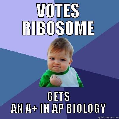 R1b0s0me's tweet image. do what’s best for you and your grades!! #organellewars