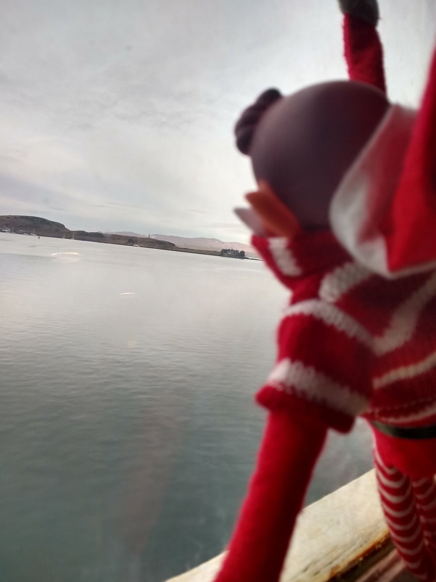 1weeElfy's tweet photo. Elfy keeping an eye out for wildlife today @ChrisGPackham @ORCA_web what can we expect to see at this year's of year? @CalMac_Updates #wildlife #scotland #argyllandbute #oban #mull #rnli #Monday https://t.co/nOUtwA4Szc