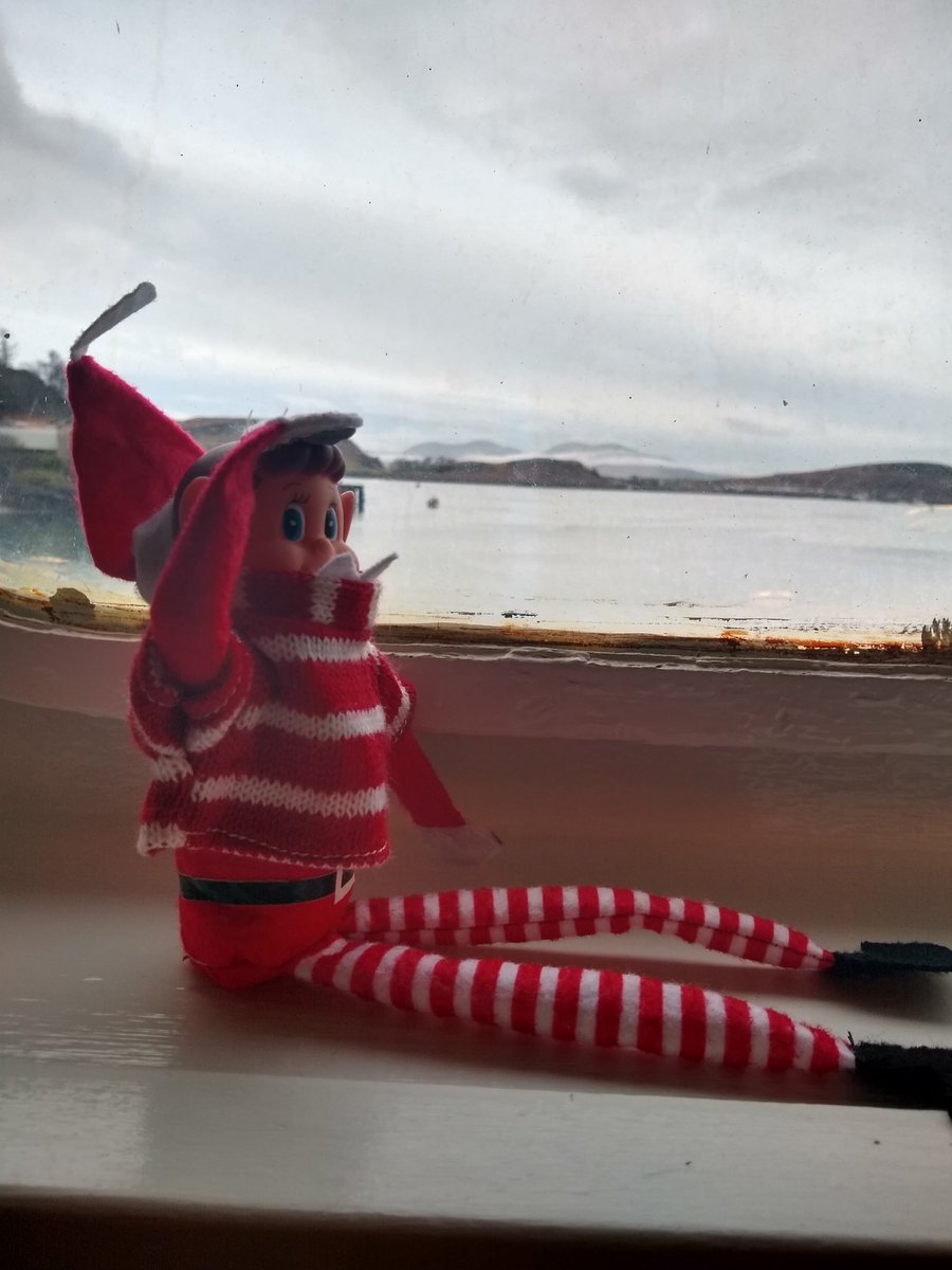 1weeElfy's tweet photo. Elfy keeping an eye out for wildlife today @ChrisGPackham @ORCA_web what can we expect to see at this year's of year? @CalMac_Updates #wildlife #scotland #argyllandbute #oban #mull #rnli #Monday https://t.co/nOUtwA4Szc